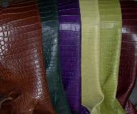 Crocodile Skins