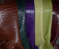 Crocodile Skins