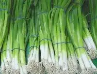 Fresh Spring Onions