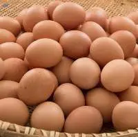 Large/Medium Eggs Brown Fresh Table Eggs