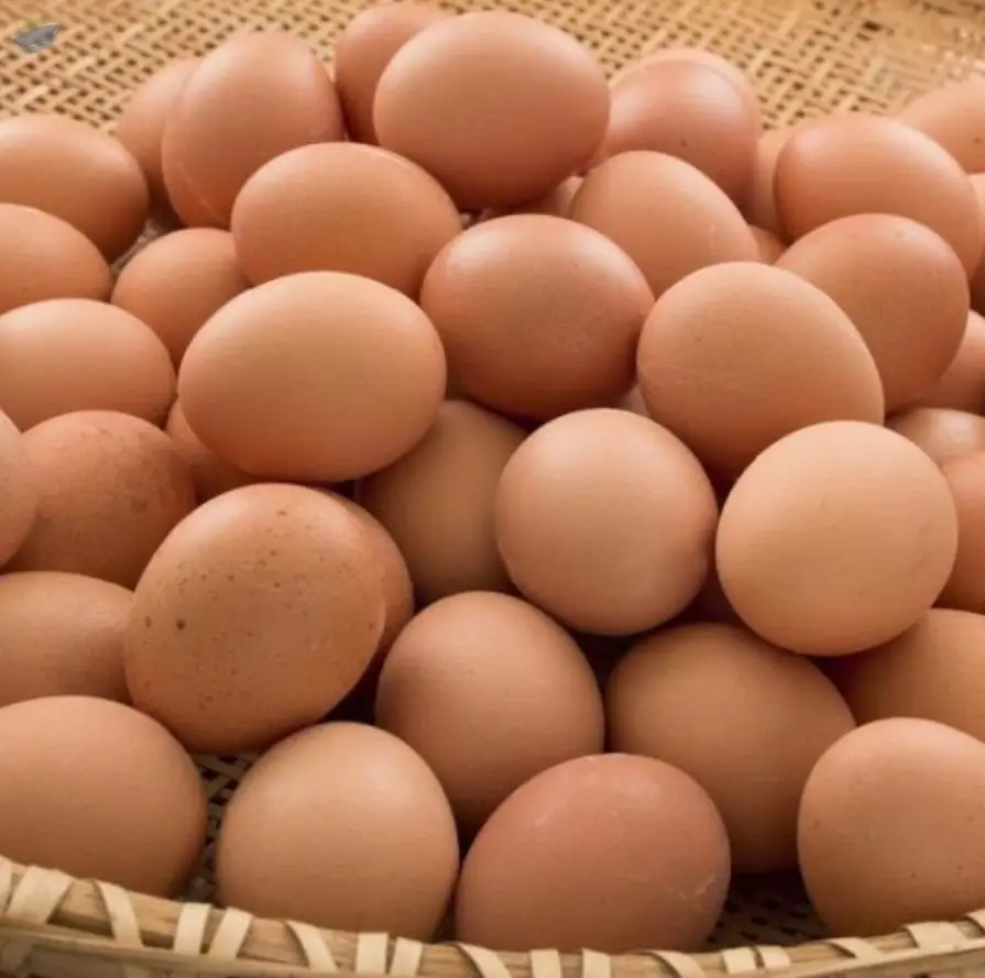 Large/Medium Eggs Brown Fresh Table Eggs