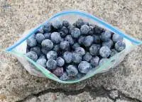Blueberries Whole Frozen/Fresh Blueberry