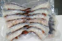 Frozen Shrimps