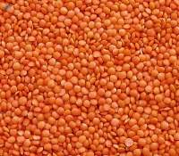 Whole Red And Split Lentils