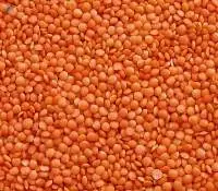 Whole Red And Split Lentils