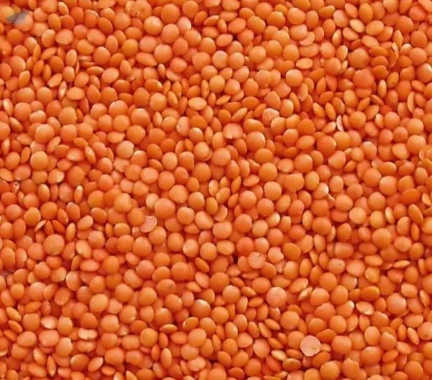 Whole Red And Split Lentils