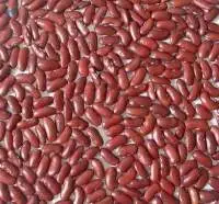 Red Kidney Beans