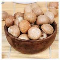 Betel Nuts