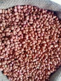 Raw Peanut / Raw Groundnuts