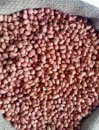 Raw Peanut / Raw Groundnuts