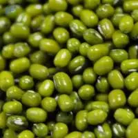 Green Mung Beans