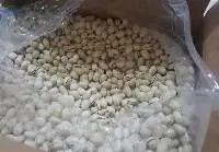 Pistachio Nuts