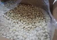 Pistachio Nuts