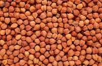 Organic Dried Chickpeas