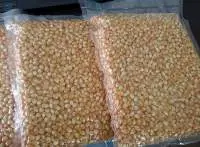 Yellow Maize, White Corn Maize, Popcorn Kernel