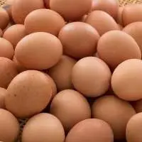 Chicken Table Eggs