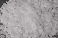 Caustic Soda, Caustic Soda Flakes