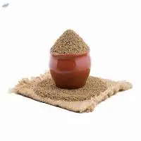Carom ( Ajwain )