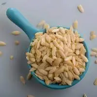 Muskmelon Seeds
