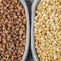 Buckwheat