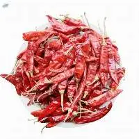 Indian Red Chilli