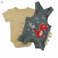 Dinosaur Dungaree