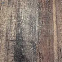 1559 - Coffee Wild