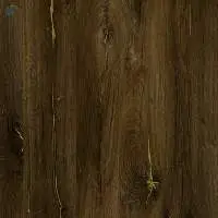 UV 351 - Walnut Shade