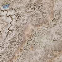9007 - Pale Granite