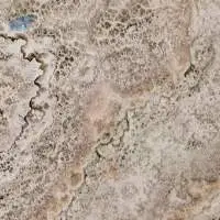 9007 - Pale Granite
