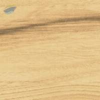 9006- Tropical Oak
