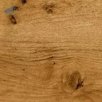 9004 - Ancient Wood