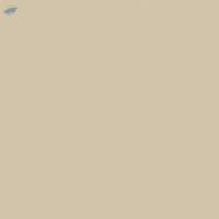 UV 307 -Sand Pale