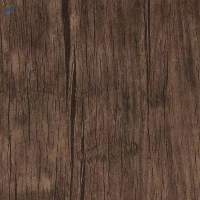 1525 - Tree Bark