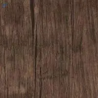 1525 - Tree Bark