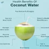 Coconut Water Powder