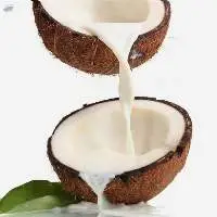 Coconut Milk Powder