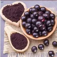 Jamun Fruit Powder