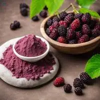 Mulberry Powder