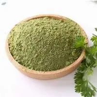 Coriander Leaf Powder