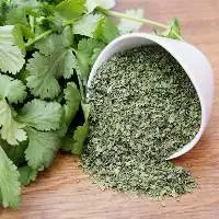 Coriander Leaf