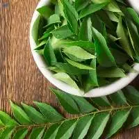 Curry Leaf