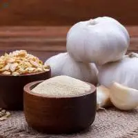 Garlic Powder Regular