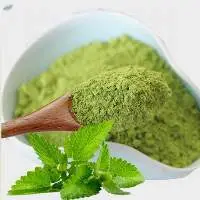 Coriander Leaf Powder