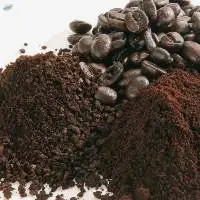 Coffee Powder With Chicory