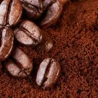 Coffee Powder With Chicory