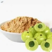 Amla Powder