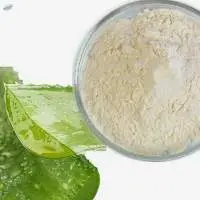 Alovera Powder
