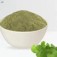 Brahmi Powder