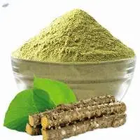 Giloy Powder 